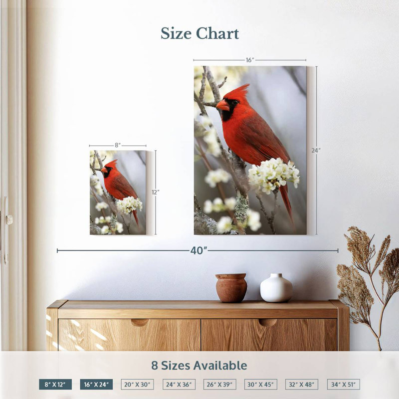Cardinal Brampt Northern sur une branche fleurie, H 24 po x l 16 po