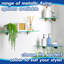 Harbour Housewares - Floating Glass Shelves with Metallic Brackets - Set of 3-107309270-107309271