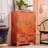 Entryway Accent Cabinet Shoe Storage and Sideboard