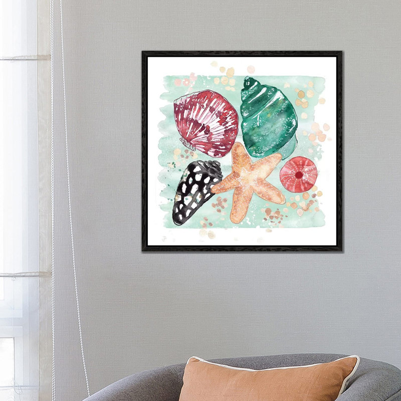 Beachcomber - Shell Medley by Sara Berrenson - Painting on Canvas, 66.04 cm H x 66.04 cm W, Black Framed
