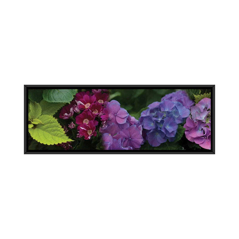 «Gros plan sur des marguerites et des hortensias», reproduction de photo sur toile, H 16 po x l 48 po x P 1,5 po
