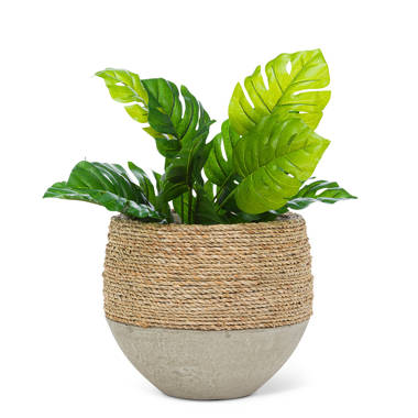 https://assets.wfcdn.com/im/85857488/resize-h380-w380%5Ecompr-r70/1460/146032087/StowtheWold+Pot+Planter.jpg