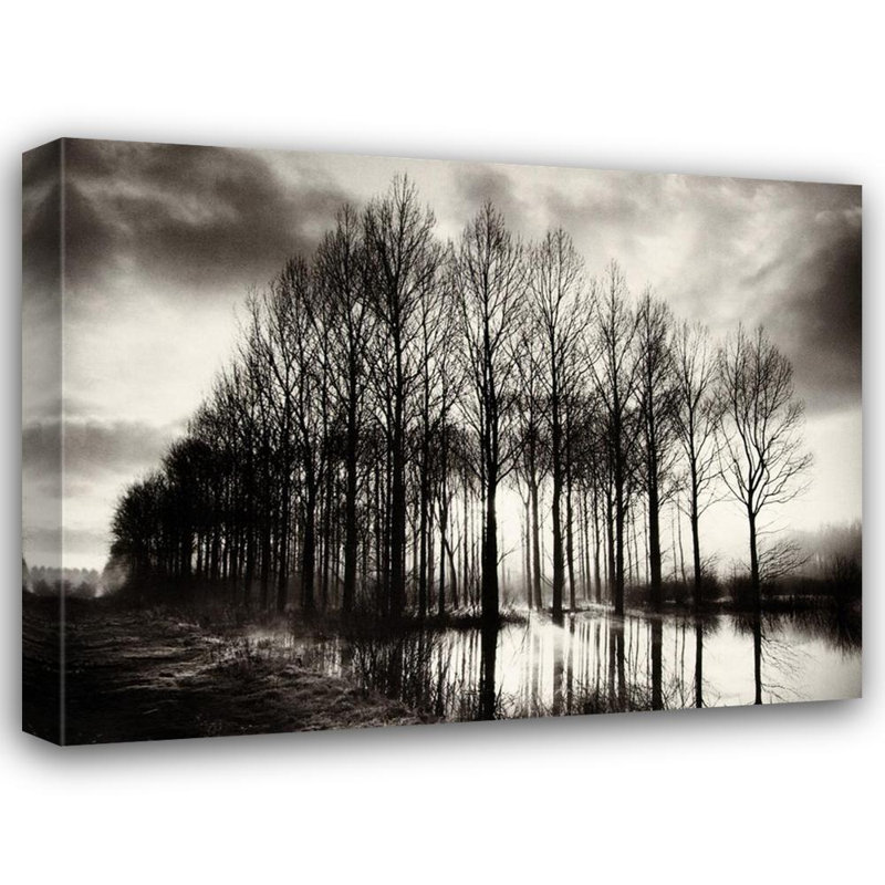Trees In Normandy, 36" H x 47" W
