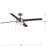 Audran 52'' Ceiling Fan with Light Kit