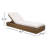 Priya Eucalyptus Patio Chaise Lounge