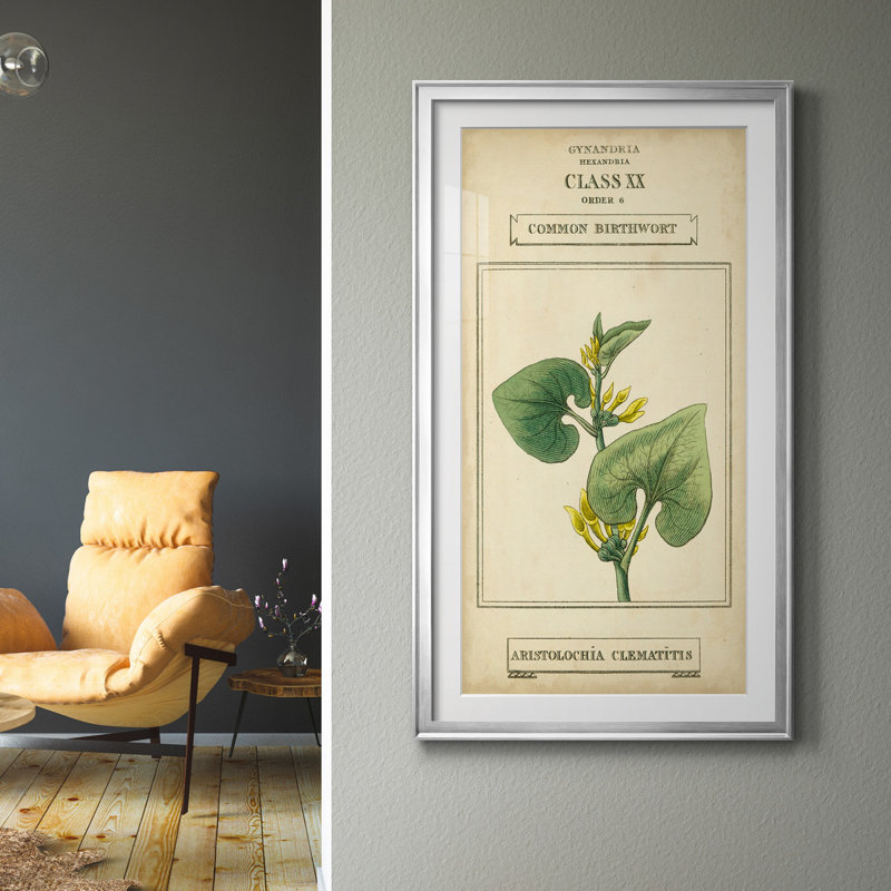 Linnaean Botany V - peinture sur toile encadrée, H 14,5 po x l 26,5 po x P 1,5 po, Argent