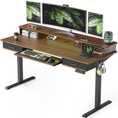63" Inches Electric Standing Desk with Keyboard Tray, Height Adjustable Stand up Desk with 2 Drawers, Ergonomic Sit to Stand Desk with Storage Monitor Stand, Computer Table, Oak