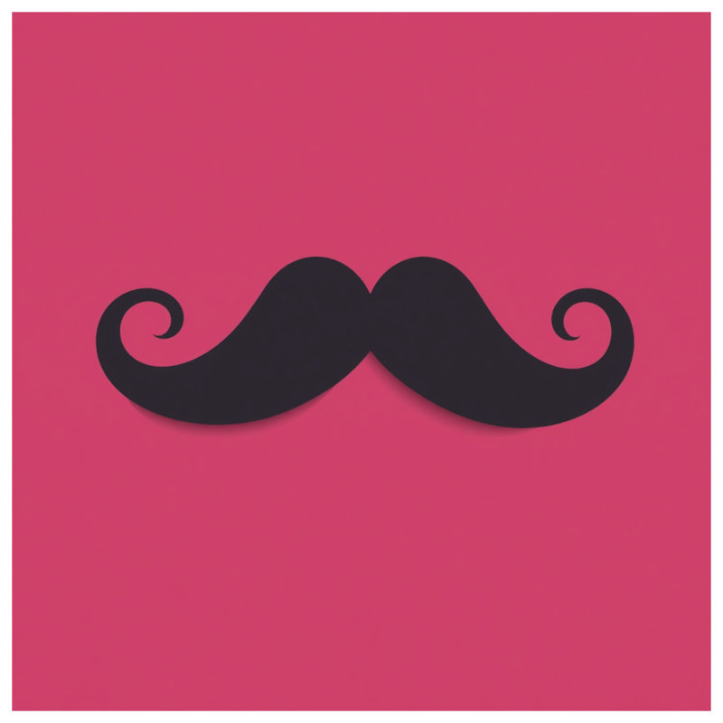 Housses de couette noires avec moustache frisée, Twin