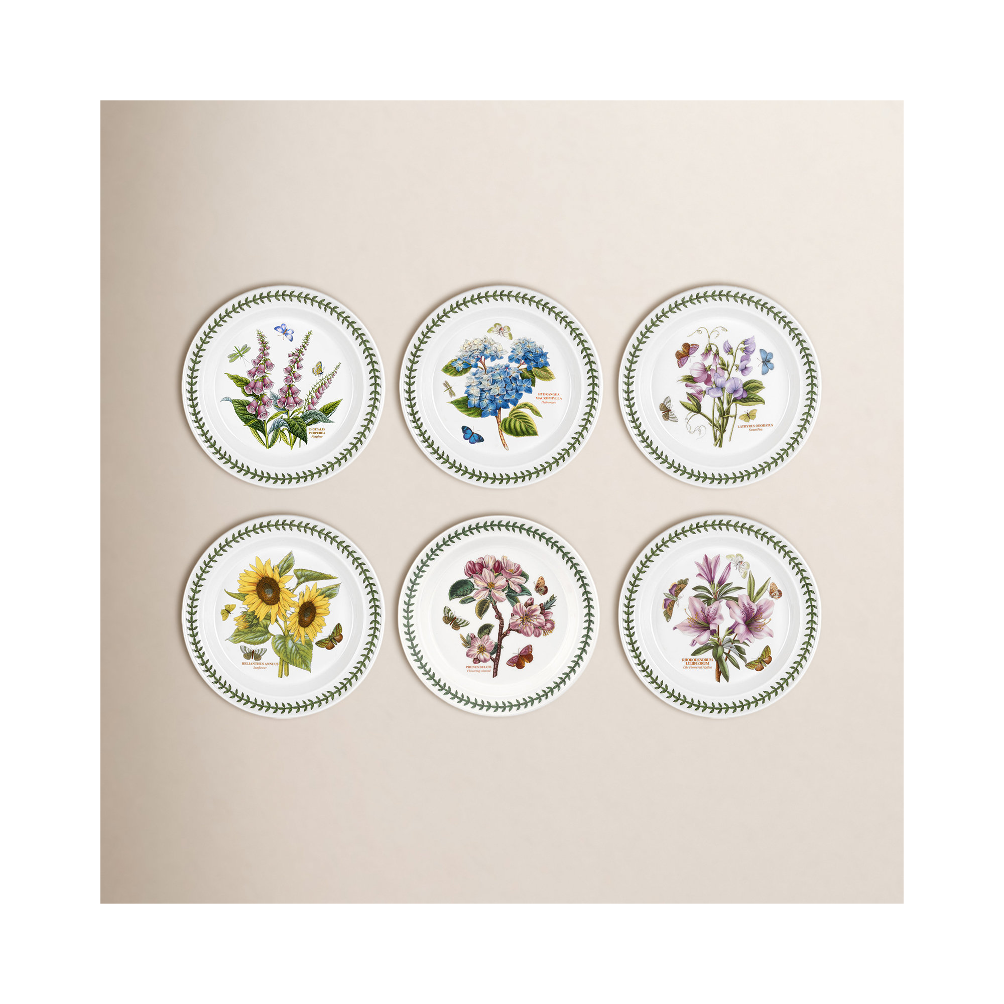 Portmeirion Botanic Garden Dinner Plate
