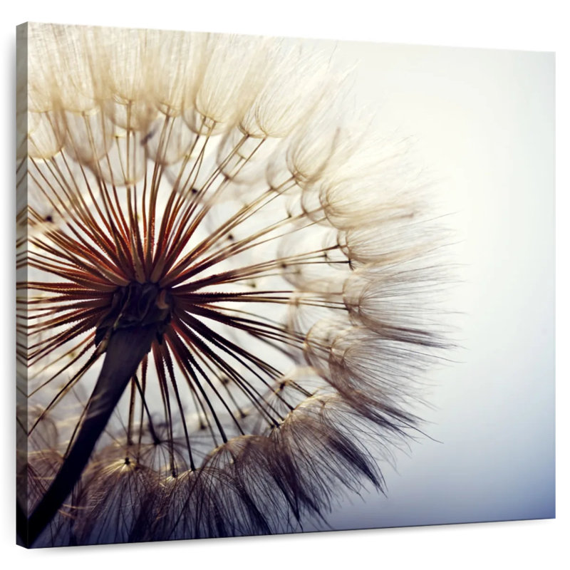 Harnek Backlit Dandelion