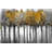 Illuminated Forest - Framed Canvas Landscape for Home Decor-120128602