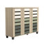 Armoire de rangement à chaussures Lismore jusqu'à 20 paires-1706591133