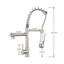 Belfry Kitchen Allicia Pull Down Kitchen Faucet