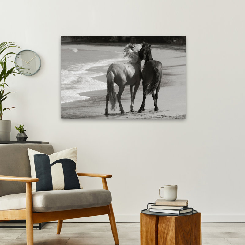 Jeunes Mustangs sur la plage - Photographie, animaux, plages, chevaux, art, H 24 po x l 36 po