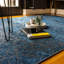 Brankovice Area Rug-1621963461