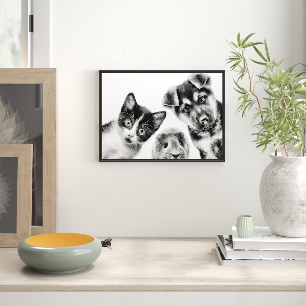 Gerahmtes Wandbild Trio Hund Katze Meerschwein