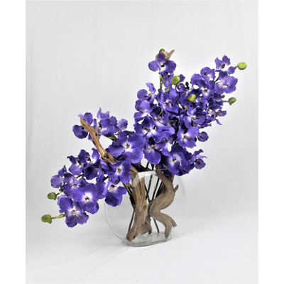 Orchid Arrangement in Vase