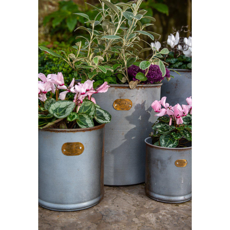 Chesson Metal Pot Planter
