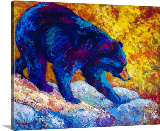 «Clodagh Tentative Step Black Bear» par Marion Rose, reproduction d'art sur toile, H 16 po x l 20 po x P 1,25 po