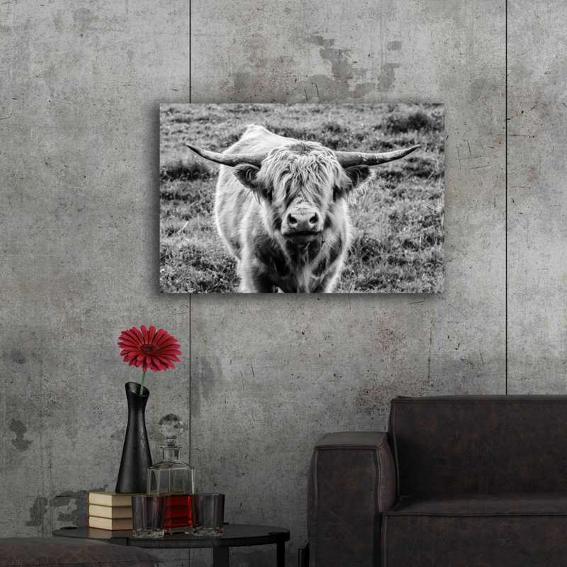 «Highland Cow Staring Contest» par Nathan Larson, H 24 po x l 36 po