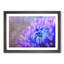 Lilac & Blue Chrysanthemum - Picture Frame Graphic Art Print-56859983-56859986