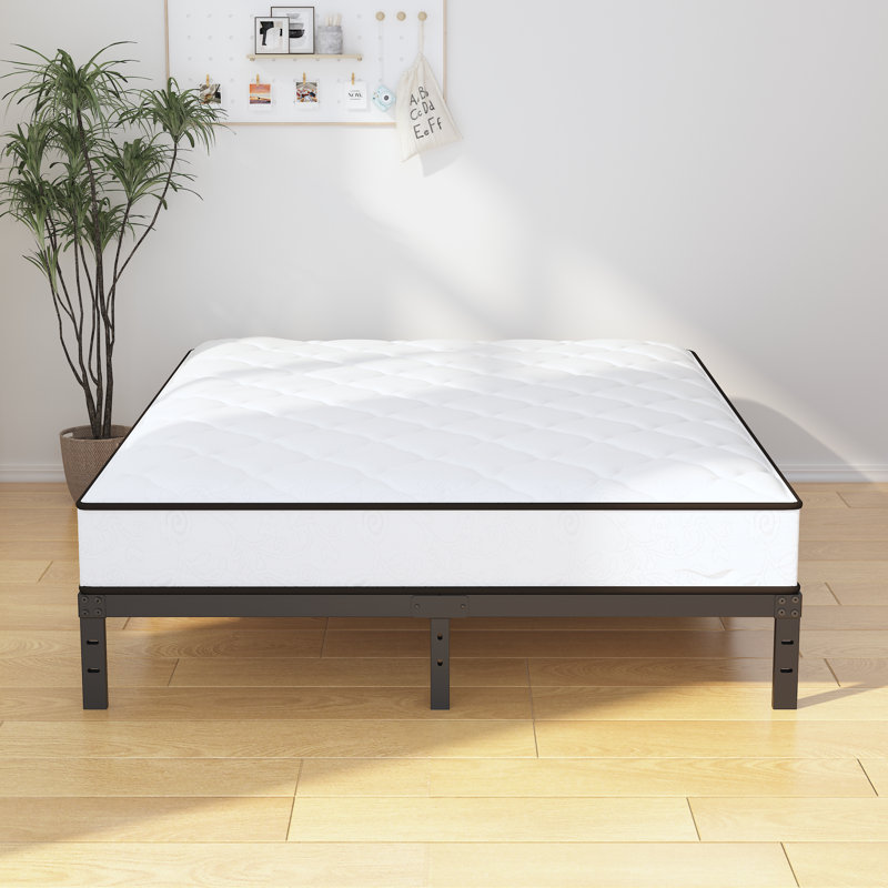 Kremmling 10" Platform Bed, Queen