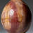 Petrified Wood Egg-124930745-124930765