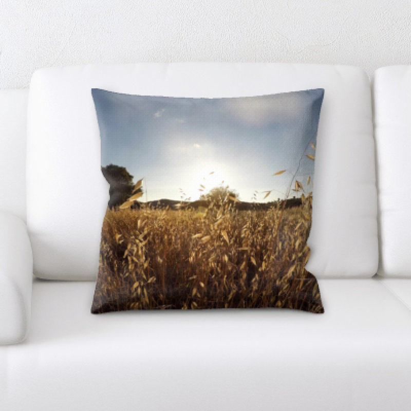 Go Pro Microsuede Reversible Throw Pillow