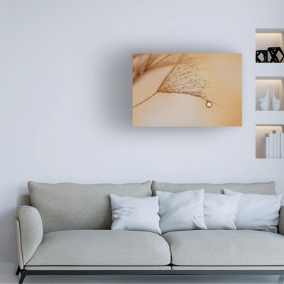 Lara Bonazza Jadore Canvas Art