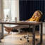 Fauteuil de bureau à hauteur ajustable avec repose-pieds Fauteuil d'ordinateur confortable à haut dossier Fauteuil de jeu inclinable en cuir durable