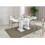 Helme Extendable Dining Table-16618242