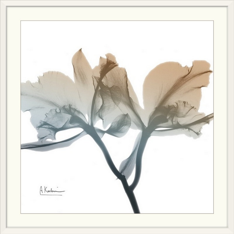 Manigault 'Earthy Orchid by Kiranjit Photographic Print, 32" H x 32" W x 1" D, White Frame
