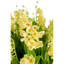 Cora RealTouch Muguet Arrangement-1495091163