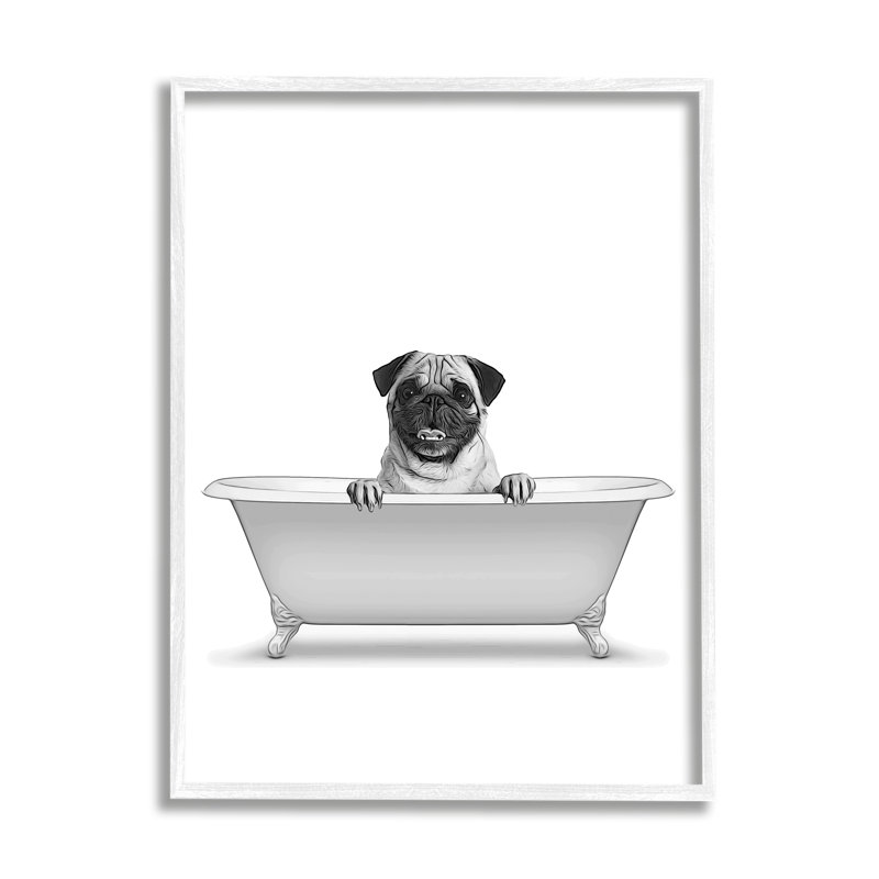 «Pug Dog In Tub Bathroom Pet on Wood» par Annalisa Latella, impression, H 16 po x l 20 po, Giclée encadrée blanc bord de mer