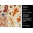 Red Heeler Australian Cattle Dog Heirloom Fall Kitchen Towel-1218231435