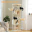 Arbre à chat-552044761
