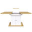 Extendable Dining Table
