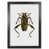 Black Grain Frame is unavailable