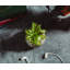 Mini pot à fleurs en céramique Star Star