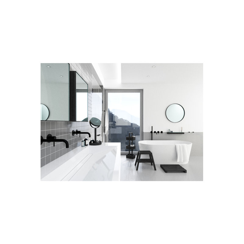 Slimline 18'' W Mirrored Medicine Cabinet, Dark Oak