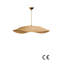 1 - Light Chandelier