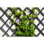 Nature Garden Trellis Wood-39208287-39208289