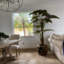 Oversized Teak Bowl With Alocacia Plant