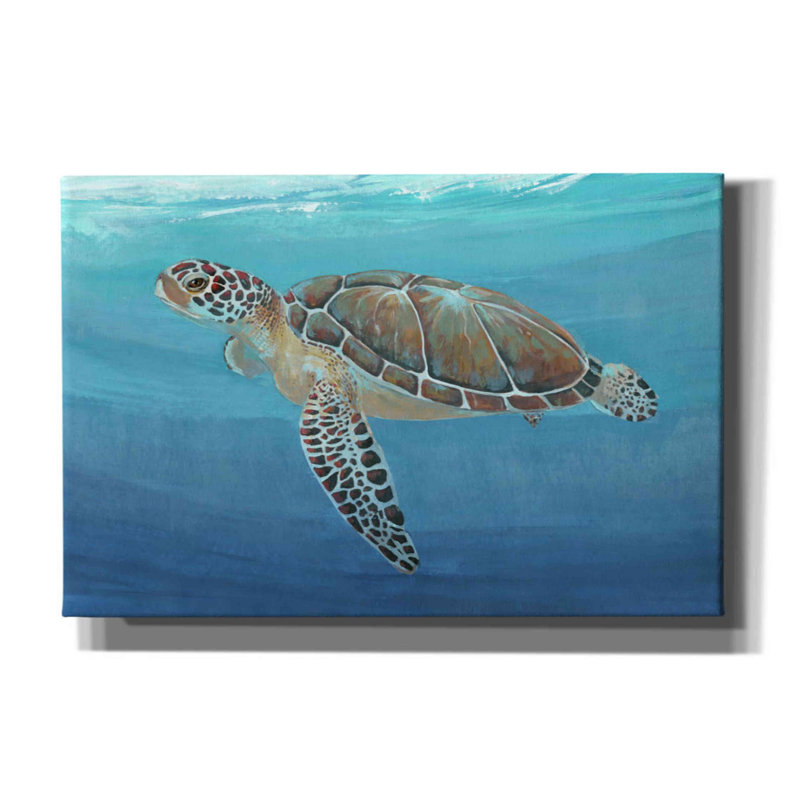 «Ocean Sea Turtle II» par Tim O'toole, art mural sur toile, H 12 po x l 18 po x P 0,75 po
