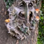 Arbre en plein air