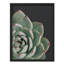 Gros plan sur des feuilles vertes luxuriantes et des pointes roses subtiles-101376751-101376748