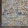 Goncalo Oriental Indoor Rug