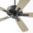 Brasuell 60'' Ceiling Fan-44674157