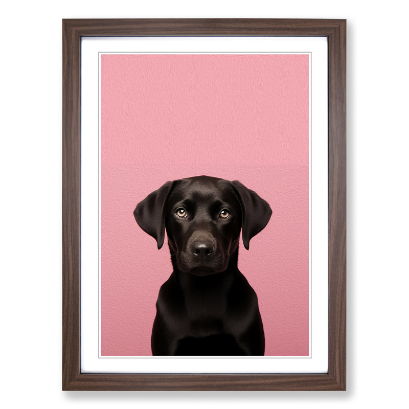 Labrador Retriever Minimalism - Framed Print, Walnut Framed, 64cm H x 46cm W