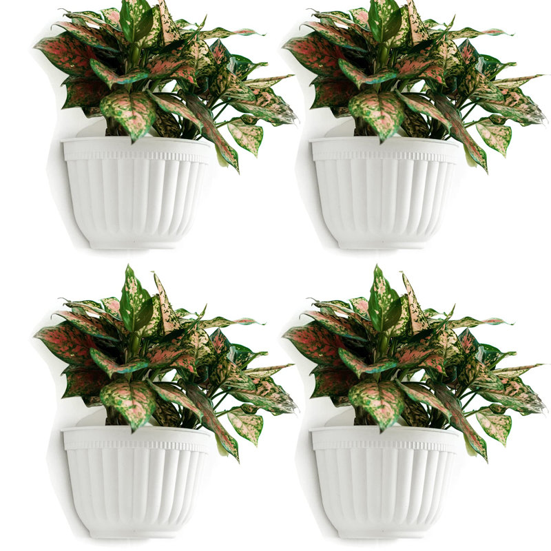 Paquet de 4 pots à fleurs muraux verticaux à suspendre au mur avec pot de drainage